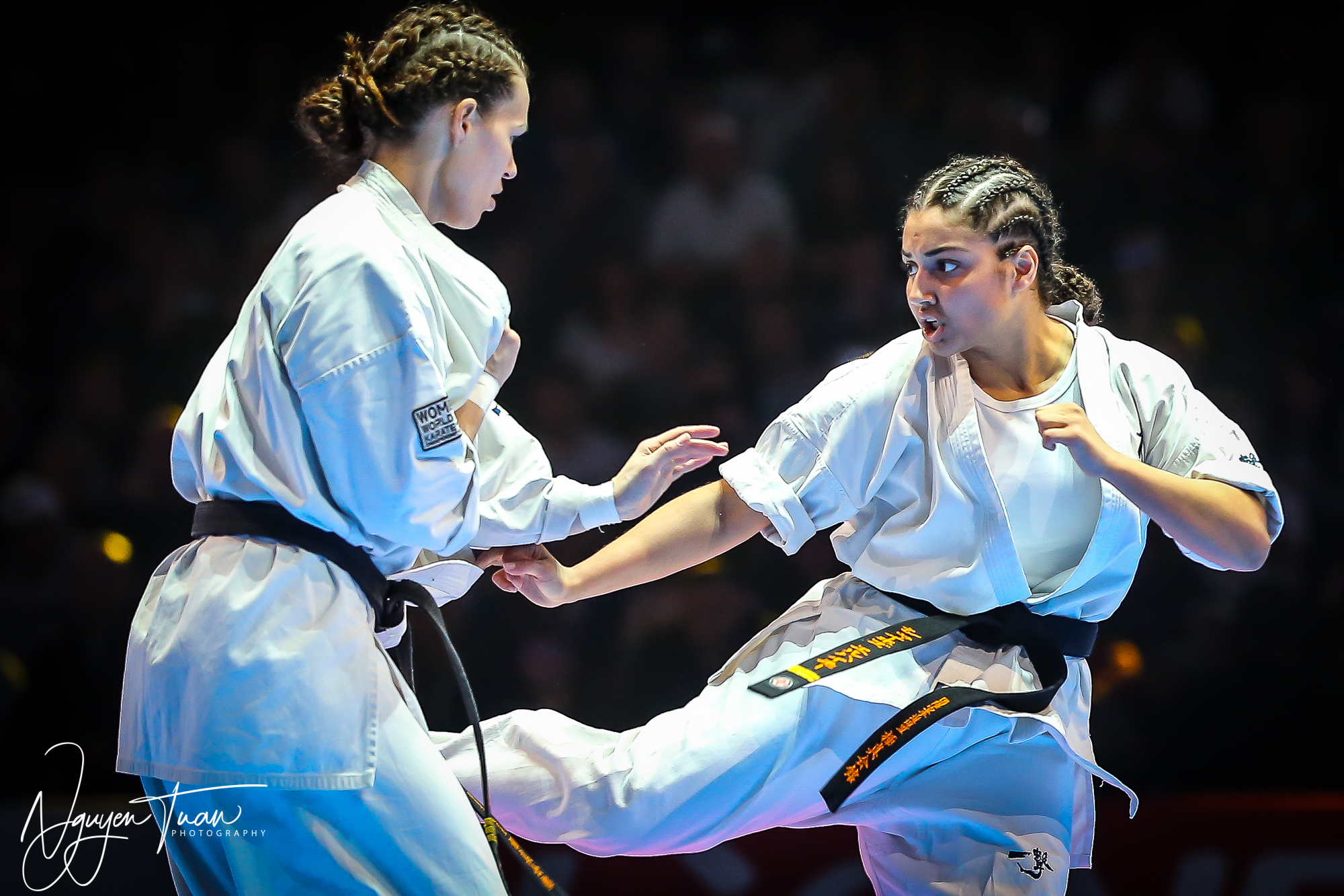 20190324 Festival des Arts Martiaux 5939